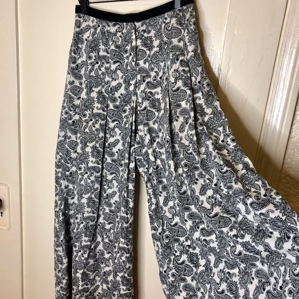 Urban Outfitters High Waisted Super Wide Leg Pant